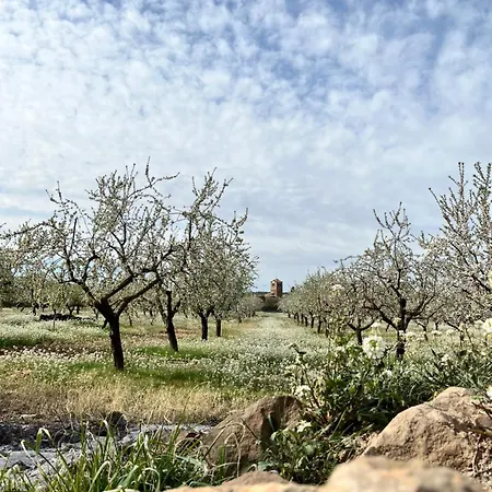 15min De Alquezar I Casa Felix Amplio 2hab, Gran Terraza & Bbq, Abiego